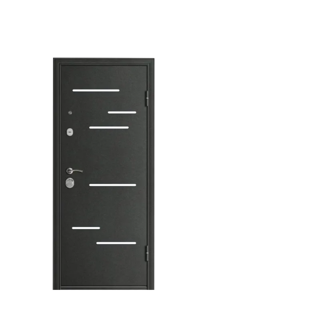Double lock security door 1