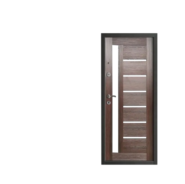 Double lock security door 2
