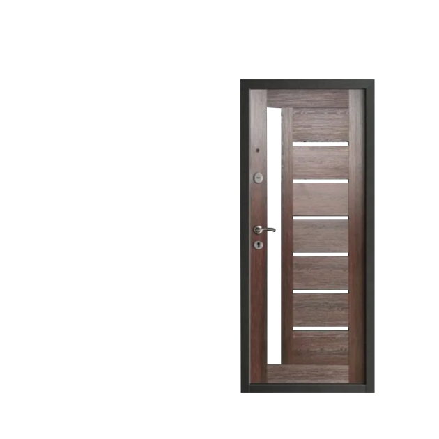 Double lock security door 2