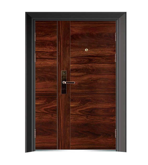 Steel Security Door Series 10