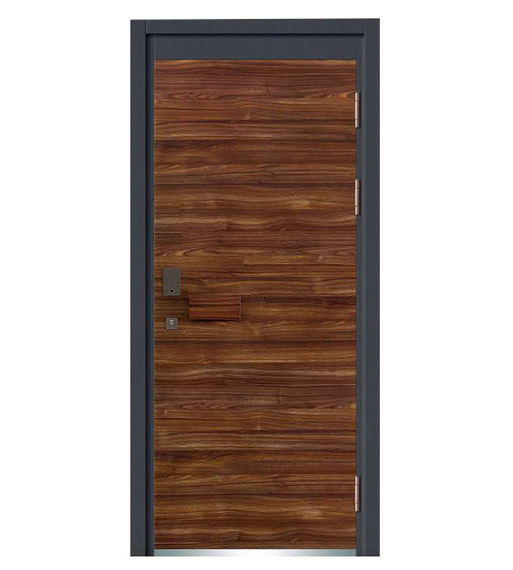 Steel Security Door Series 12