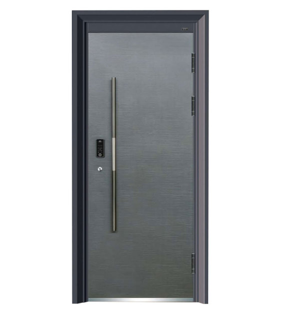 Steel Security Door Series 2