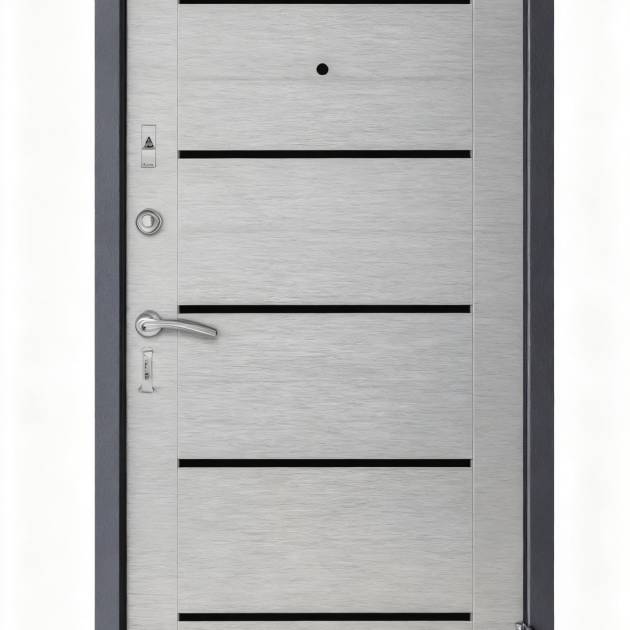 Double-Lock Security Door