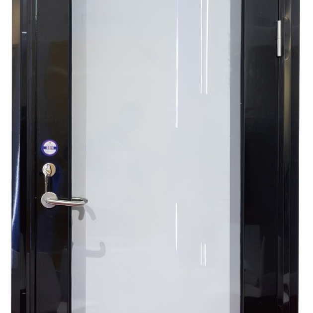 Stainless steel glass fire door